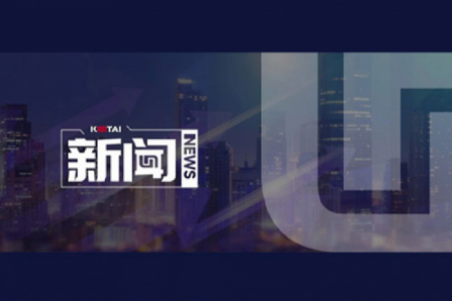 AI驱动新增长，扣非净利提升10%，星空xingkong数码2025一季度稳健开局